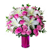 Roseate  Kiss